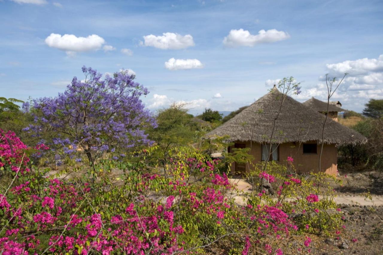 Kia Lodge Arusha Bagian luar foto